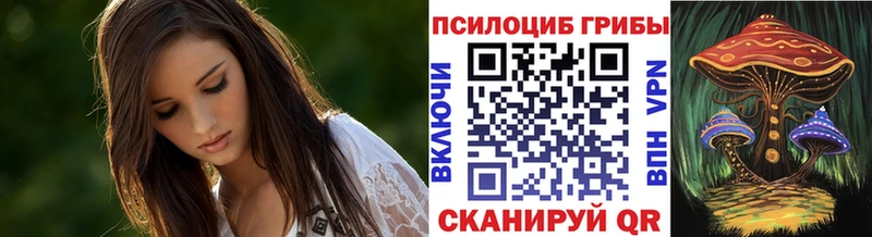 маркетплейс наркотические препараты Красногорск Псилоцибиновые грибы прущие грибы