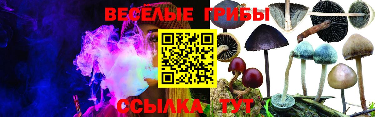 Галлюциногенные грибы мухоморы  Псилоцибиновые грибы MAGIC MUSHROOMS  Вход с VPN  Красногорск 